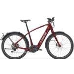 Allant+ 8S 2021