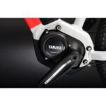 HardFour 2021 – Image 3