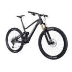 Zesty AM 9.9 Carbon 2021